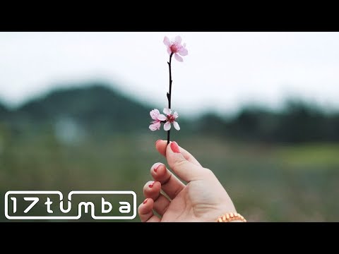 Ryke - Chaotic Slumber (cluda vocal edit)