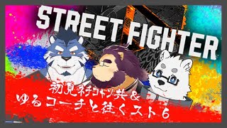 【SF6】俺と同じくらいの奴に会いに来た【射干玉ウヌ】