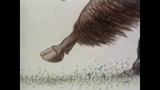 1978 - NFB Canada Vignette - The Horse