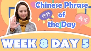 #StayHome and Learn Chinese #WithMe | Phrase of the Day Challenge (Week 8 REVIEW)