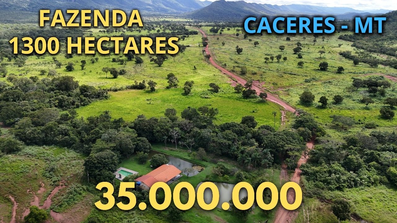 Fazenda á venda 1300 Hectares Cáceres - Mato Grosso