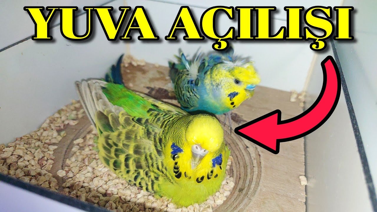 ÜRETİMHANEDE YUVA AÇILIŞI YAPTIM