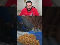 🤣 Jai Mahesmati 🤣 | Grandpa Needs Fish | Hitesh KS