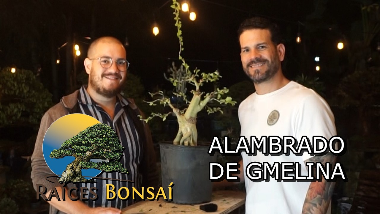 Enseñado alambrado a Emanuel | Desde el Jardín | Proyectos 2026 | Raíces Bonsai