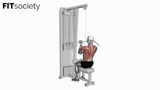 Cable Reverse Grip Straight Back Seated High Row - Exercise - Fitness Oefening - Fitsociety