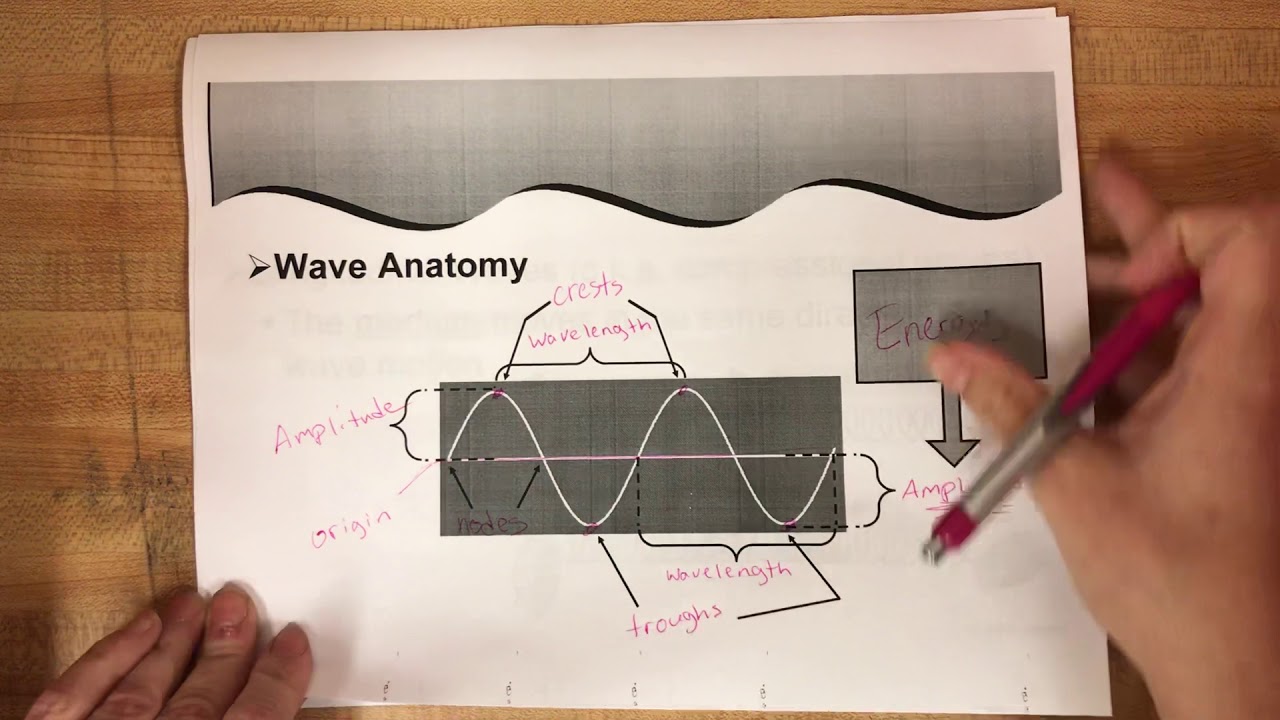 11.1 Intro to waves - YouTube