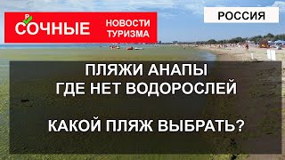 ПЛЯЖИ АНАПЫ 2023| Где нет водорослей? Какой пляж выбрать Джемете, Сукко, Витязево, Выкокий Берег?