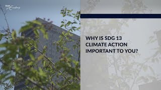 Why is SDG 13 important to you?