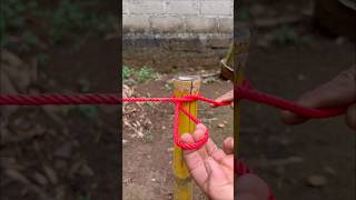 Constrictor Knot
