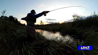 Fly fishing for brown trout - Pstrąg na suchą muchę ᴴᴰ 1080p