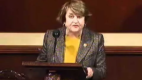 Rep. Slaughter Speaks Against Conceal Carry Legislation