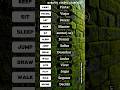Ultimate Verbs in Portuguese. Test Your Skills Now! Parte4#shorts #português #portugal #verbs