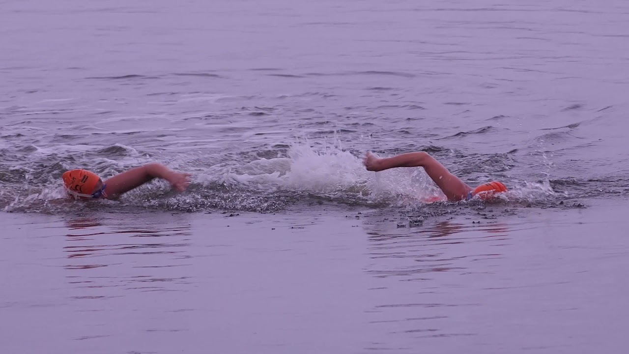 Ice-Swimming-Cup Tag 3