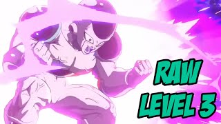 Raw Level 3