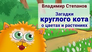 Загадки для детей | Круглый кот загадки в стихах | Загадки про цветы и растения