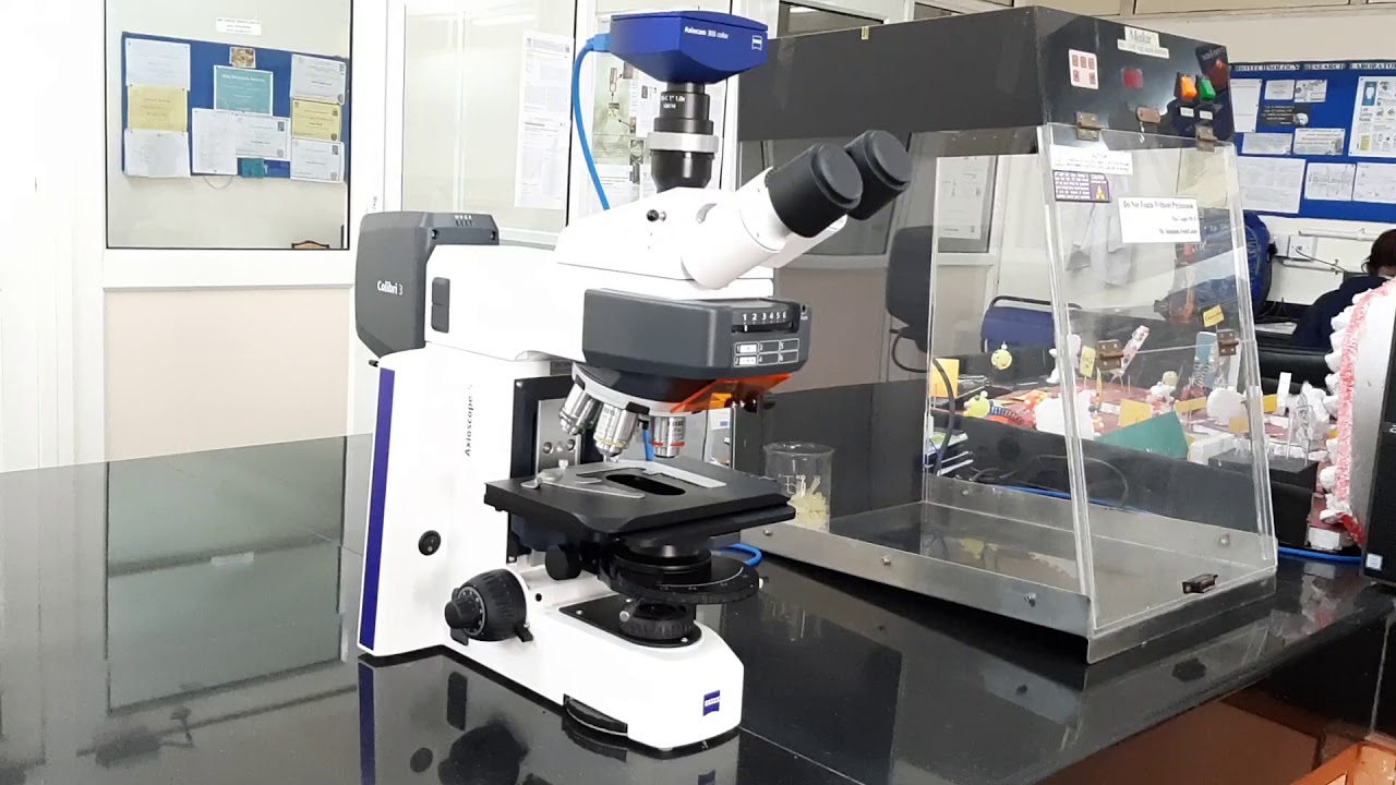 Amity Institute of Biotechnology | Faculty Speaks | Amity University Jaipur