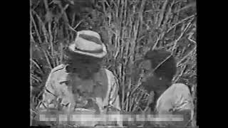 As Aventuras Do Tio Maneco - Chamada - Tv Cultura - 1984