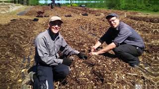 Innover Avec Les Produits Forestiers Non Ligneux Pfnl Lairelle