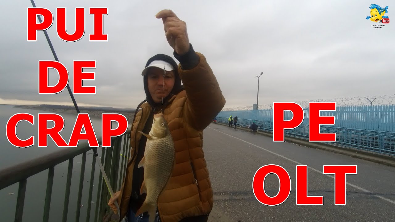 PESCUIT PE PLOAIE SI VANT -CRAP SI PUI DE CRAP LA BARAJ IONESTI PE OLT