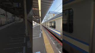 E217系  JR総武快速線 船橋駅 JR Sobu Line Rapid