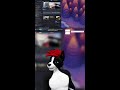 [18+ ONLY] Woofer Gets into Racing | GRID