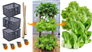 [No garden] Growing vegetables with recycled plastic baskets  Multistorey vegetable tower