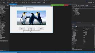 Visual Basic programming, display animals when buttons are clicks