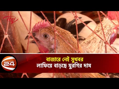 ভিডিও: মুরগি লাইন দ্বারা সম্মোহিত কেন?