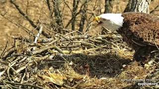 Decorah North Nest 2-21-23, Shift change and egg roll