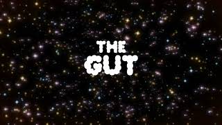 The Wonderfully Weird World Of Gumball - The Gut - Title Card
