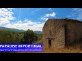 STUNNING MOUNTAIN HOMESTEAD - PARADISE IN PORTUGAL - FUNDAO FARM FOR SALE