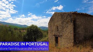 STUNNING MOUNTAIN HOMESTEAD - PARADISE IN PORTUGAL - FUNDAO FARM FOR SALE