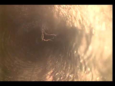 2215 E 37th Avenue camera iphone 8 plus apk