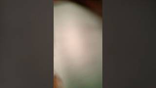 360° VR|trending short video| ❤️❤️|