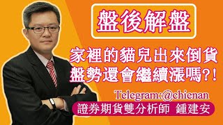 20231117【家裡的貓兒昨天今天出來大倒貨 盤勢還有繼續漲嗎】鍾建安盤後解盤