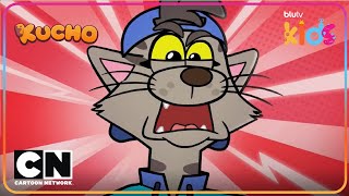 Kucho Kedayın Kayıp Albümü