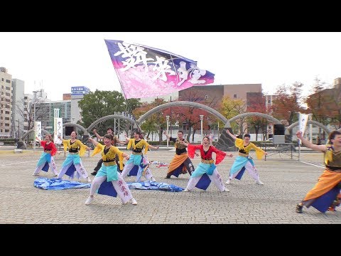 「舞來瞳＋PRIDE＋」四日市よさこい やったろ舞2017【市民公園会場】