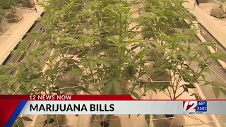 RI Cannabis Bill Hearing