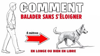 BALADER SON CHIEN EN LONGE