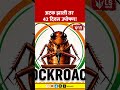 Cockroach Janta Party | Jantar Mantar | अटक झाली तर 42 दिवस उपोषण!