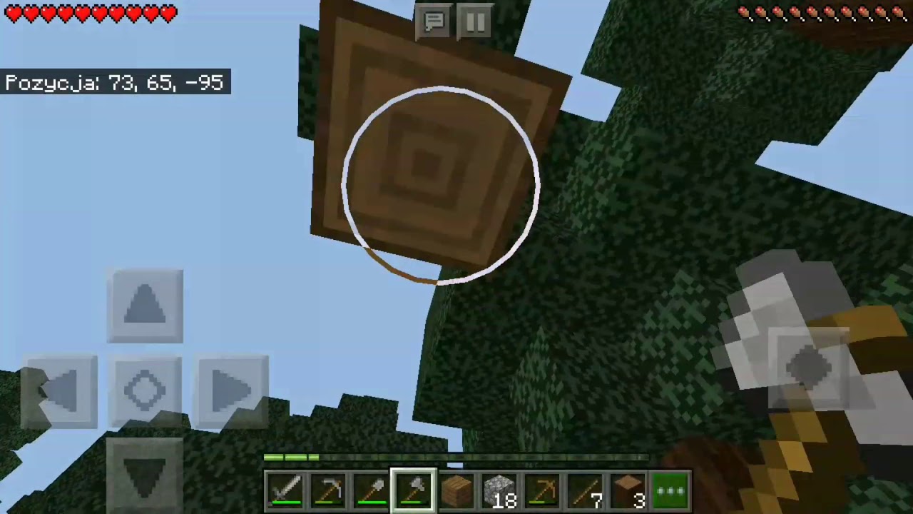 MINECRAFT timelapse (#1) - YouTube