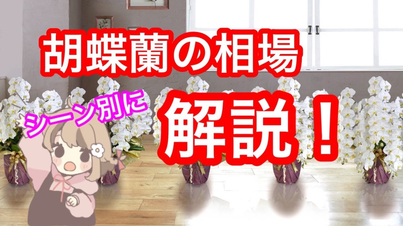 お祝いに贈る 胡蝶蘭の相場 をシーン別に解説していきます 東京 吉祥寺のフラワーセラピーを取り入れたお花屋さん Heartfelt Flowers 花心