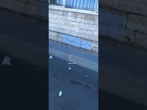 Грязный Питер летаеь мусор.пл.Балтийского вокзала.май 2022 год.Ужас !