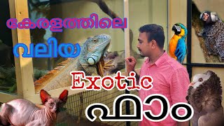 kerala exotic pet farm..@catsworld1469 #petstationkannur #petsandanimals #exoticpets#pets by cats world 2,029 views 2 years ago 18 minutes