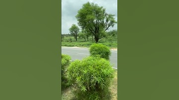 #shorts #short #india #vlog #travel #shortsvideo #shortvideo #trending #viral #video #viralvideo