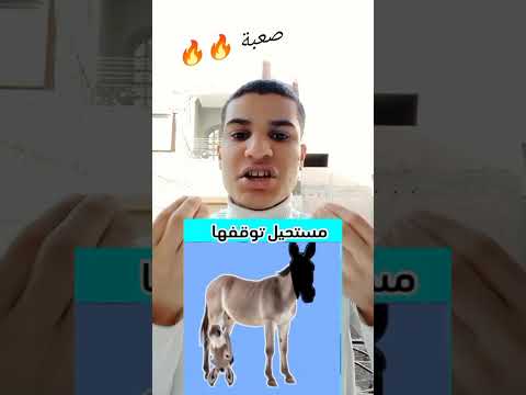 اتحدا اي شخص انه يوقف راس الحمار دي في مكانها الصح صعبة جدا طارق العالمي رمضان كريم