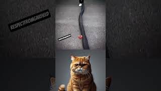 Download Lagu funny moments DAY-40 #shorts #cat #meme #dance #trending #new #popular #memes #music MP3