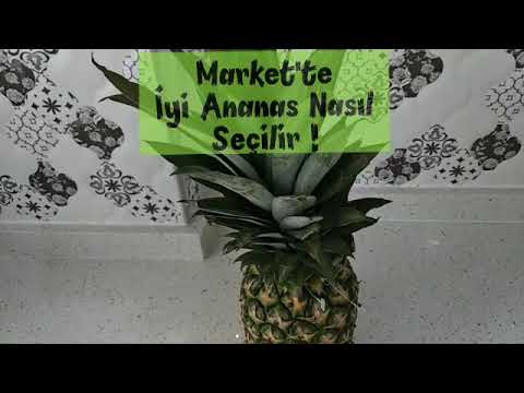 Video: Ananas Nasıl Seçilir