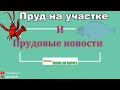 Неприятности в пруду на даче. Уровень воды и замер кислорода. Весна на пороге |Пруд для рыбы и раков