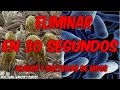 ELIMINAR EN 30 SEGUNDOS ACAROS ETC